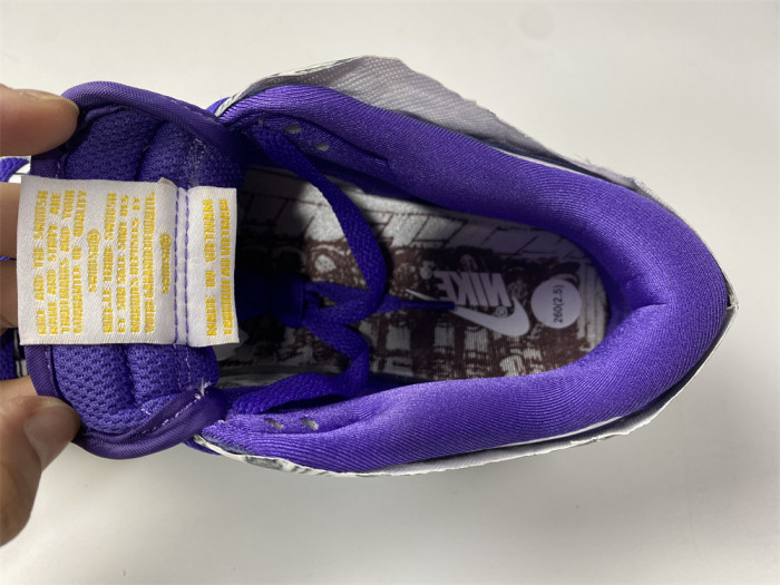 Nike Dunk Low Flip the Old School (W) DJ4636-100 - CCSHOES