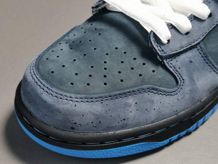 Nike Dunk SB Low Blue Lobster 313170-342 - CCSHOES