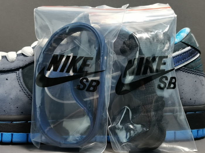Nike Dunk SB Low Blue Lobster 313170-342 - CCSHOES