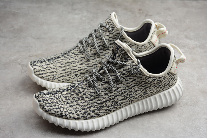 Adidas YEEZY 350 Boost “Turtle Dove” AQ4832 - CCSHOES
