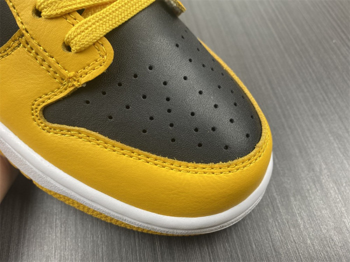 Nike Dunk Low Goldenrod (2021) DD1391-004 - CCSHOES