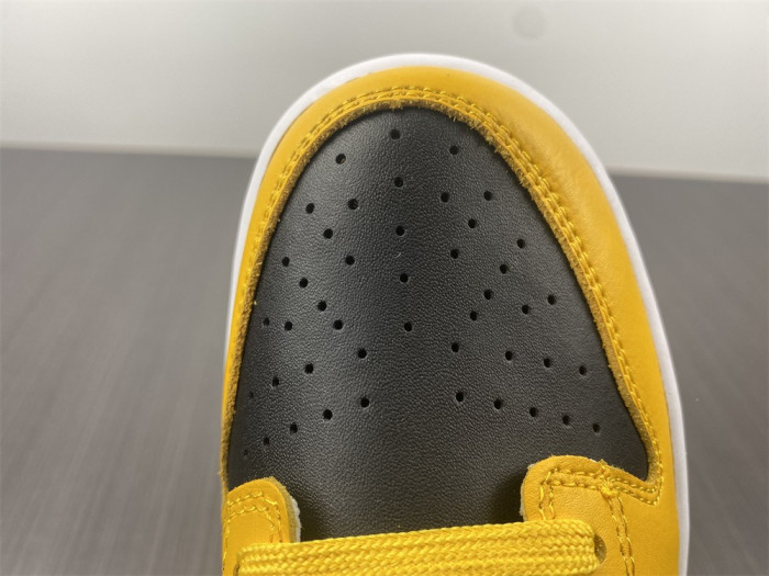 Nike Dunk Low Goldenrod (2021) DD1391-004 - CCSHOES