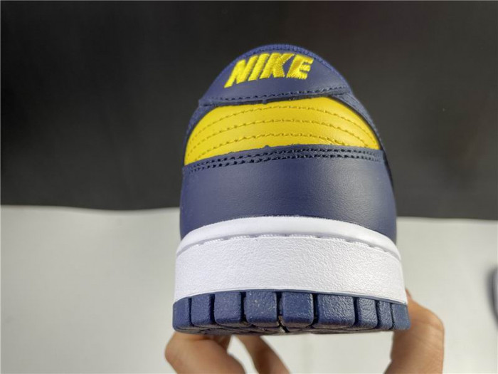 Nike Dunk Low Michigan DD1391-700 - CCSHOES