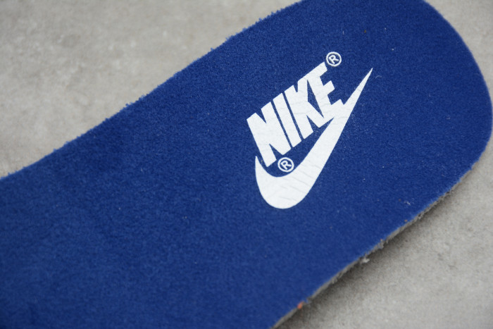 NIKE DUNK LOW SAMBA (2020) CZ2667-400 - CCSHOES