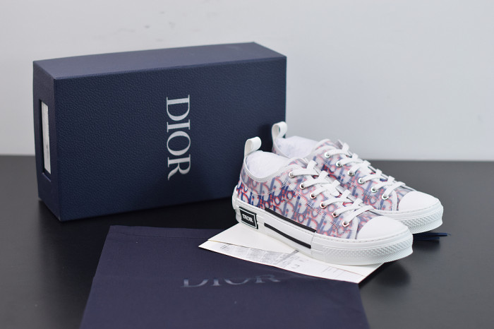 DR B23 OBLIQUE LOW TOP “CD Ghosting" - CCSHOES