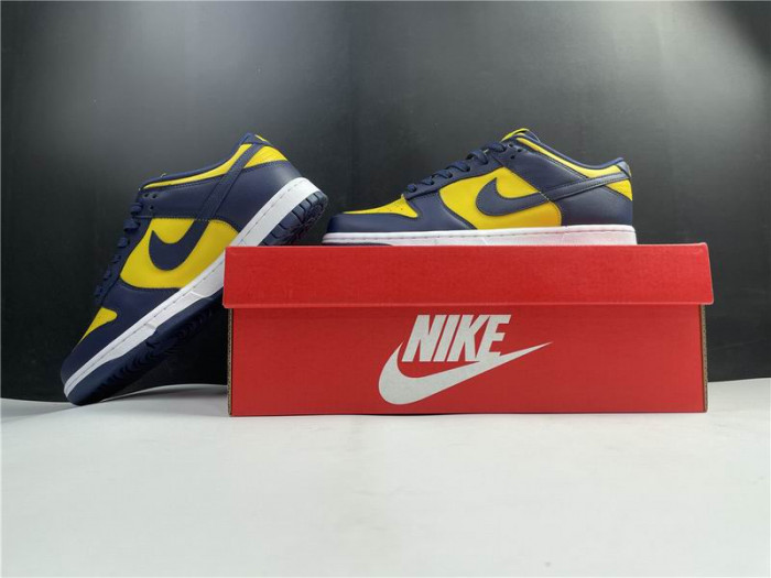 Nike Dunk Low Michigan DD1391-700 - CCSHOES