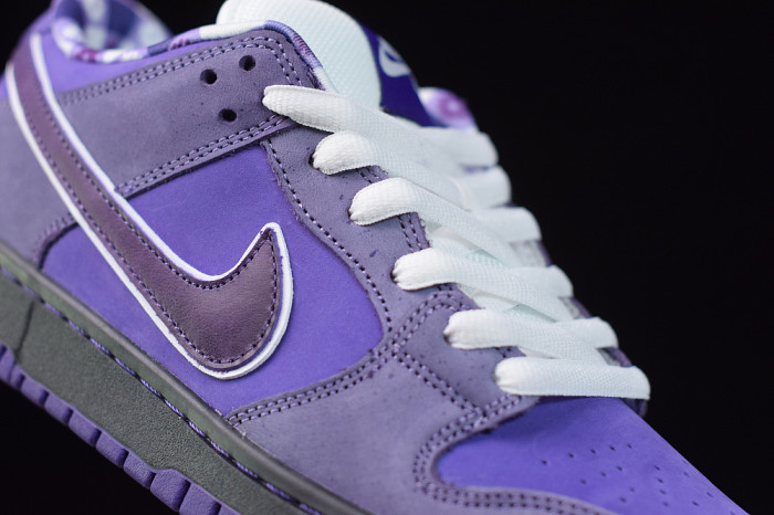 NIKE SB DUNK LOW CONCEPTS PURPLE LOBSTER BV1310-555 - CCSHOES