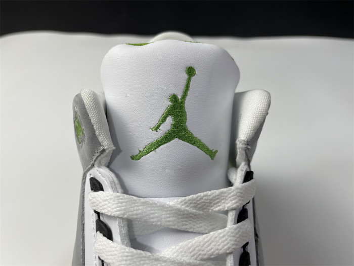 Air Jordan 3 Retro Chlorophyll 136064-006 - CCSHOES