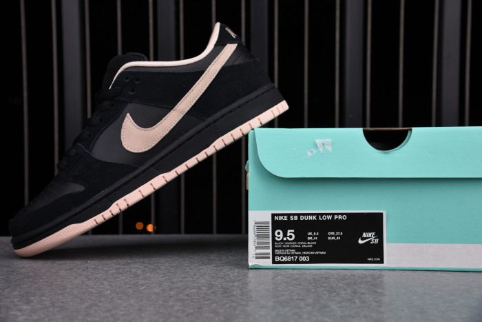 Nike Dunk SB Low Black Washed Coral BQ6817-003 - CCSHOES
