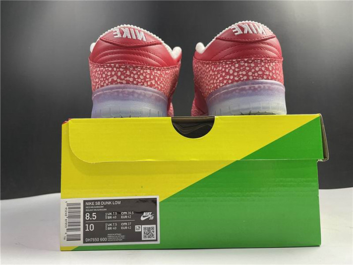 Nike Dunk SB Low Stingwater Magic Mushroom DH7650-600 - CCSHOES