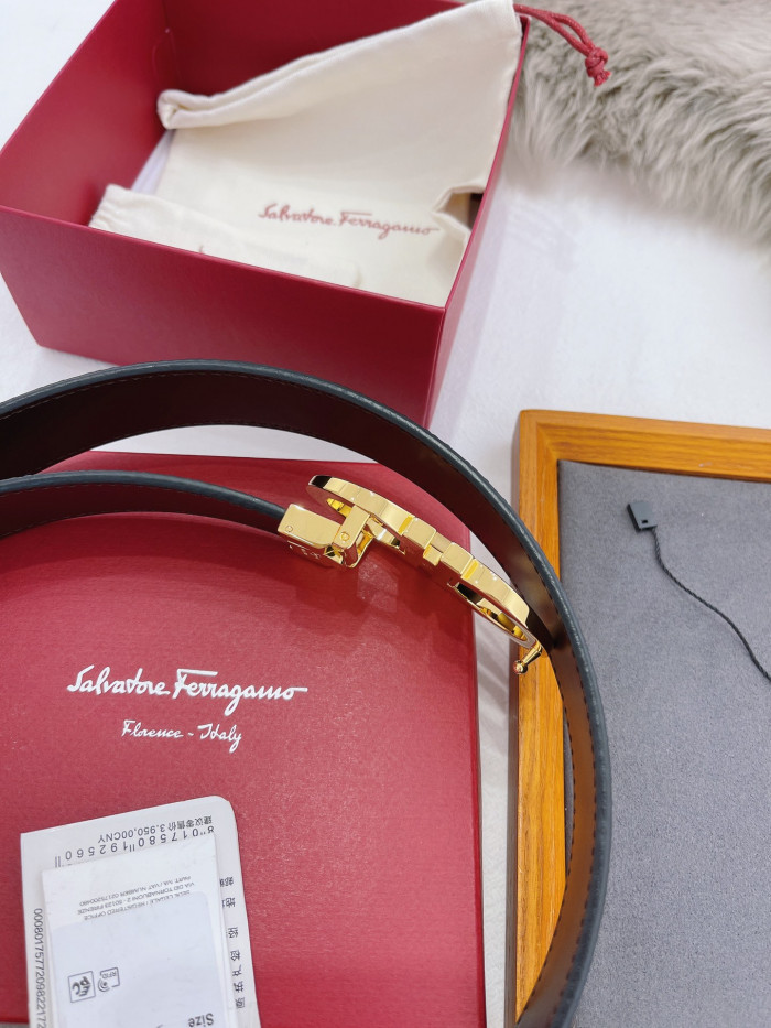 Feragamo Belt-3.5CM - CCSHOES