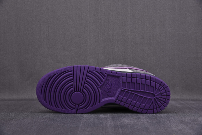 Nike Dunk SB Low Purple Pigeon 304292-051 - CCSHOES