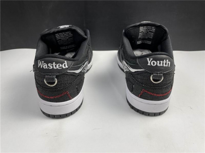 Nike SB Dunk Low Wasted Youth DD8386-001 - CCSHOES