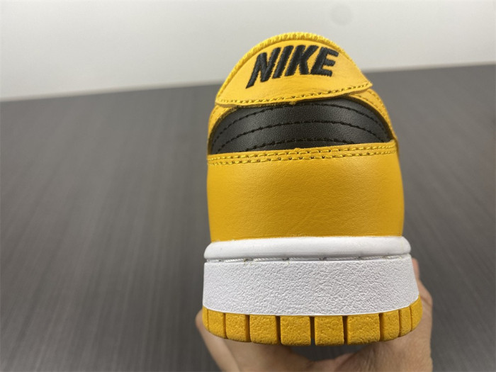 Nike Dunk Low Goldenrod (2021) DD1391-004 - CCSHOES