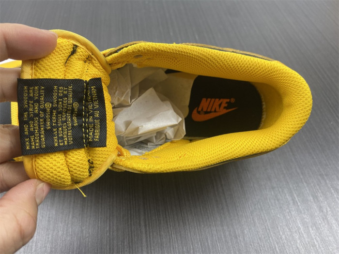 Nike Dunk Low Goldenrod (2021) DD1391-004 - CCSHOES