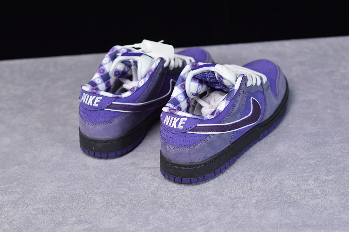 NIKE SB DUNK LOW CONCEPTS PURPLE LOBSTER BV1310-555 - CCSHOES