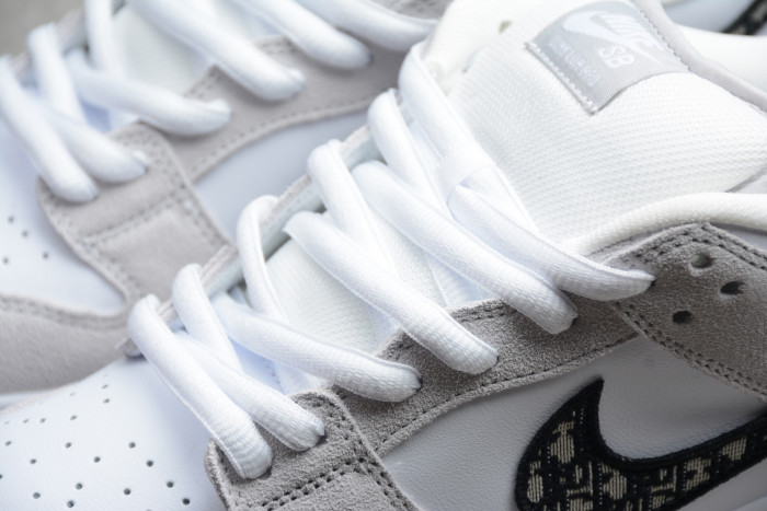 DR x Nike Dunk SB Low BQ6817-002 - CCSHOES