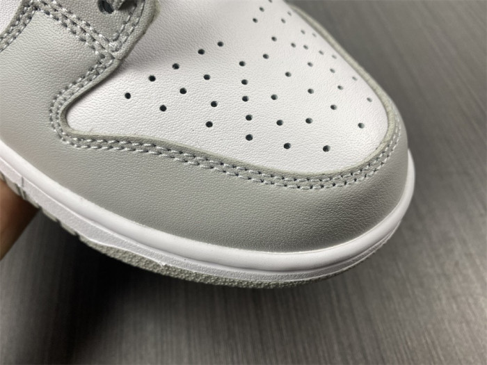 Nike Dunk Low Grey Fog DD1391-103 - CCSHOES