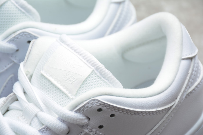 Nike Dunk SB Low White Ice 304292-100 - CCSHOES