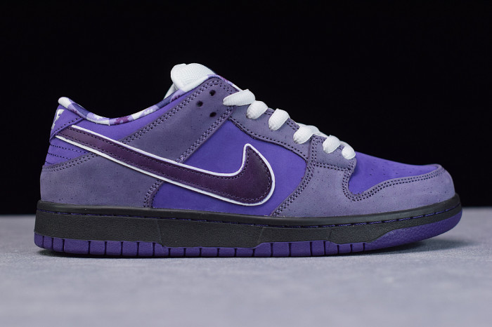 NIKE SB DUNK LOW CONCEPTS PURPLE LOBSTER BV1310-555 - CCSHOES