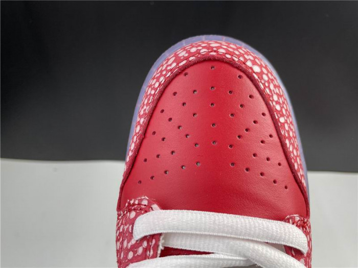 Nike Dunk SB Low Stingwater Magic Mushroom DH7650-600 - CCSHOES