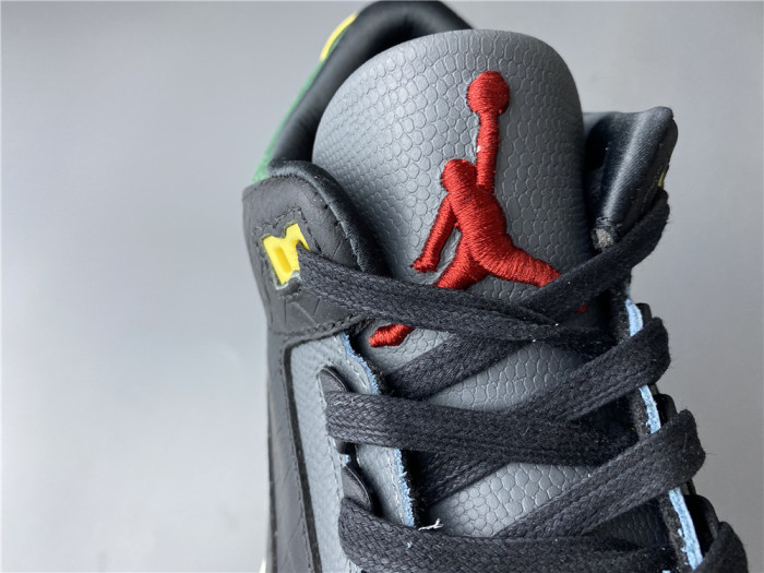 Air Jordan 3 Retro SE Animal Instinct 2.0 - CV3583-003 - CCSHOES