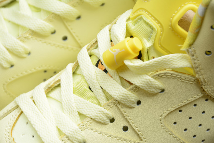 Air Jordan 6 Retro Dynamic Yellow Floral (GS) 543390-800 - CCSHOES