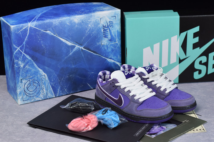 NIKE SB DUNK LOW CONCEPTS PURPLE LOBSTER BV1310-555 - CCSHOES