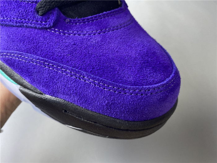 Air Jordan 5 Retro Alternate Grape 136027-500 - CCSHOES