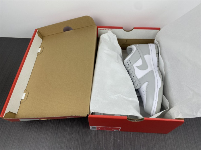 Nike Dunk Low Grey Fog DD1391-103 - CCSHOES