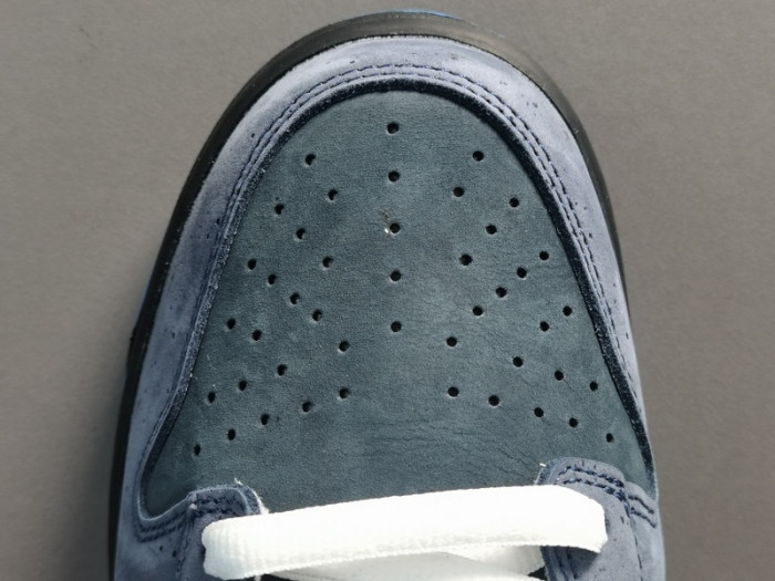 Nike Dunk SB Low Blue Lobster 313170-342 - CCSHOES