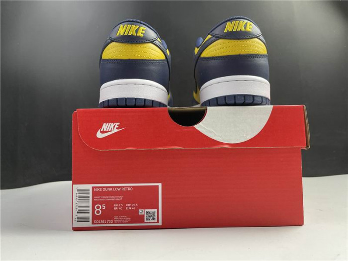 Nike Dunk Low Michigan DD1391-700 - CCSHOES