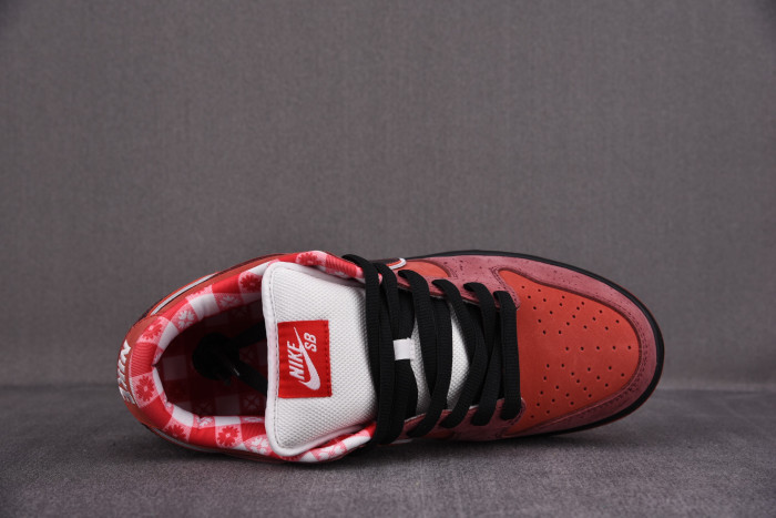 Nike Dunk SB Low Red Lobster 313170-661 - CCSHOES