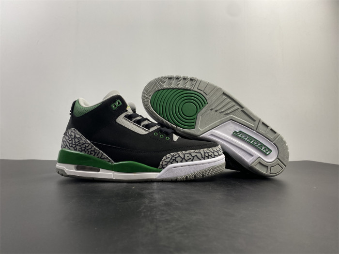 Air Jordan 3 “Pine Green” CT8532-030 - CCSHOES