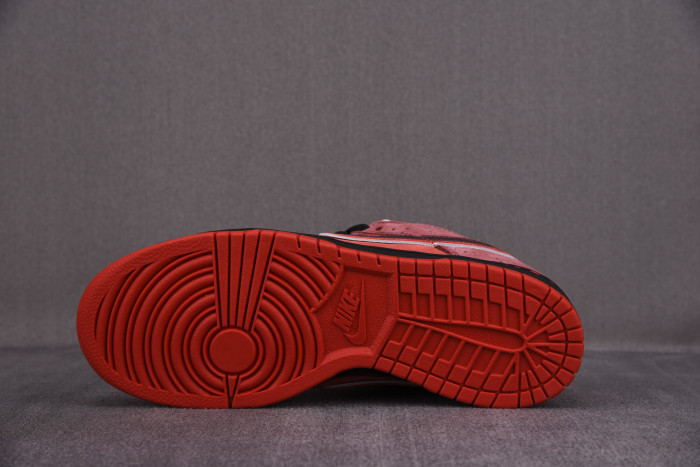 Nike Dunk SB Low Red Lobster 313170-661 - CCSHOES