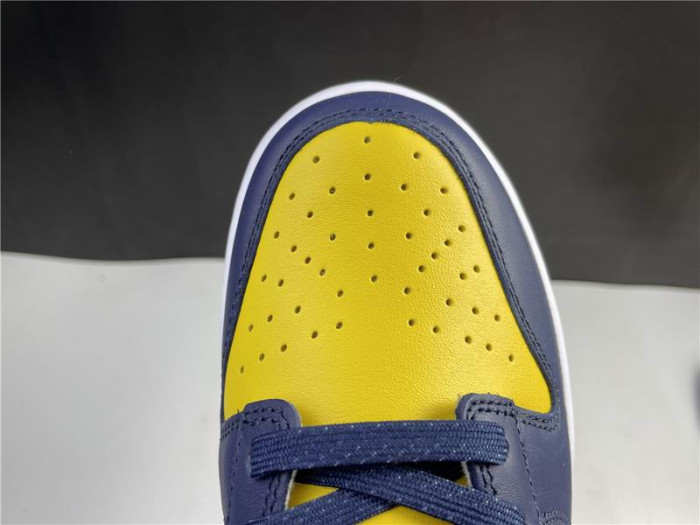 Nike Dunk Low Michigan DD1391-700 - CCSHOES