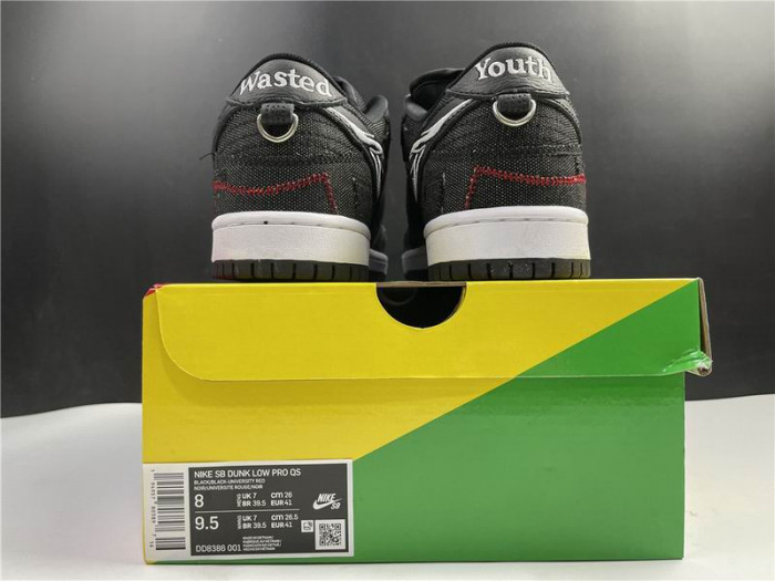 Nike SB Dunk Low Wasted Youth DD8386-001 - CCSHOES