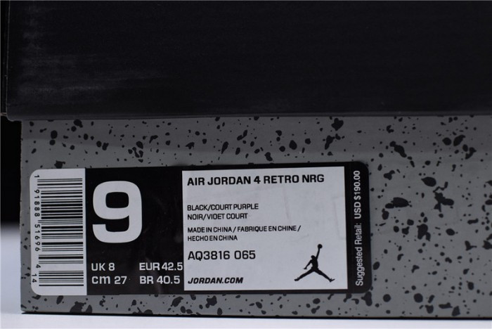 Air Jordan 4 Retro NRG “Raptors" AQ3816-065 - CCSHOES