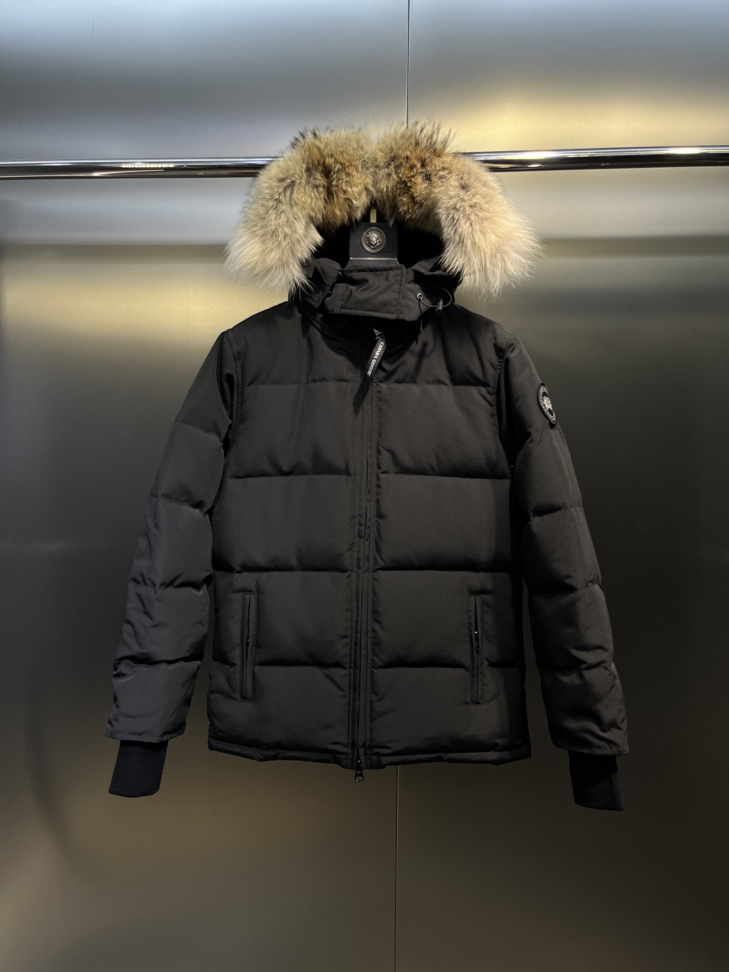 Canda Goose Jacket - CCSHOES