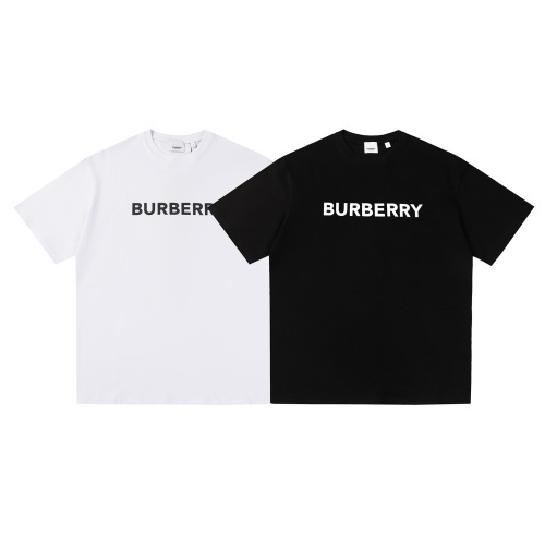 T-shirt - CCSHOES