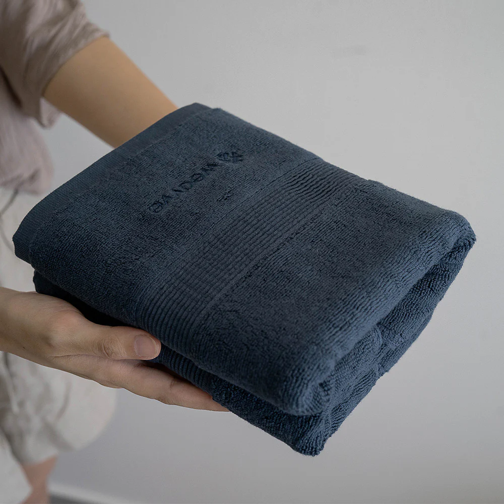 Silver Infused Hand Towel - Set of 2