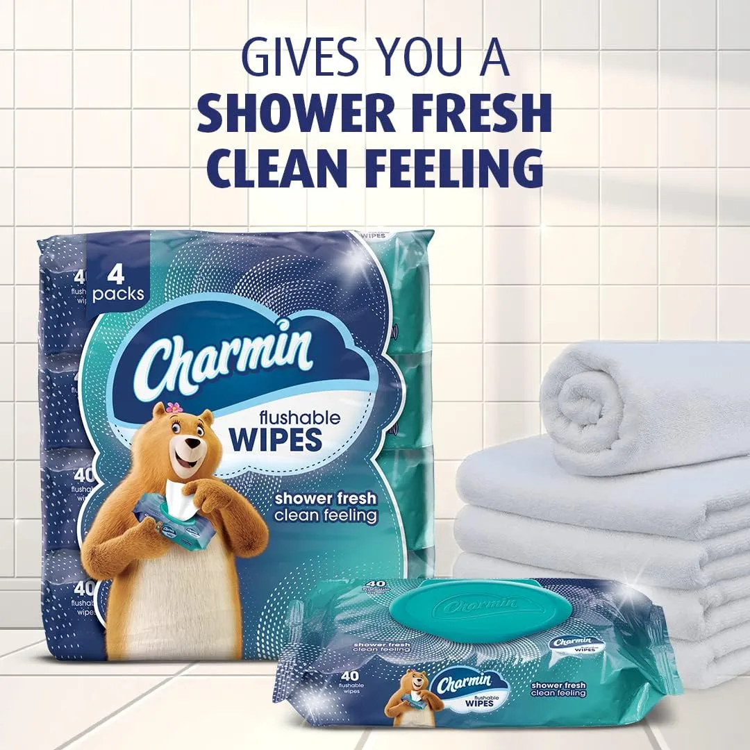 Charmin Flushable Wipes, 12 packs, 40 Flushable Wipes per Pack