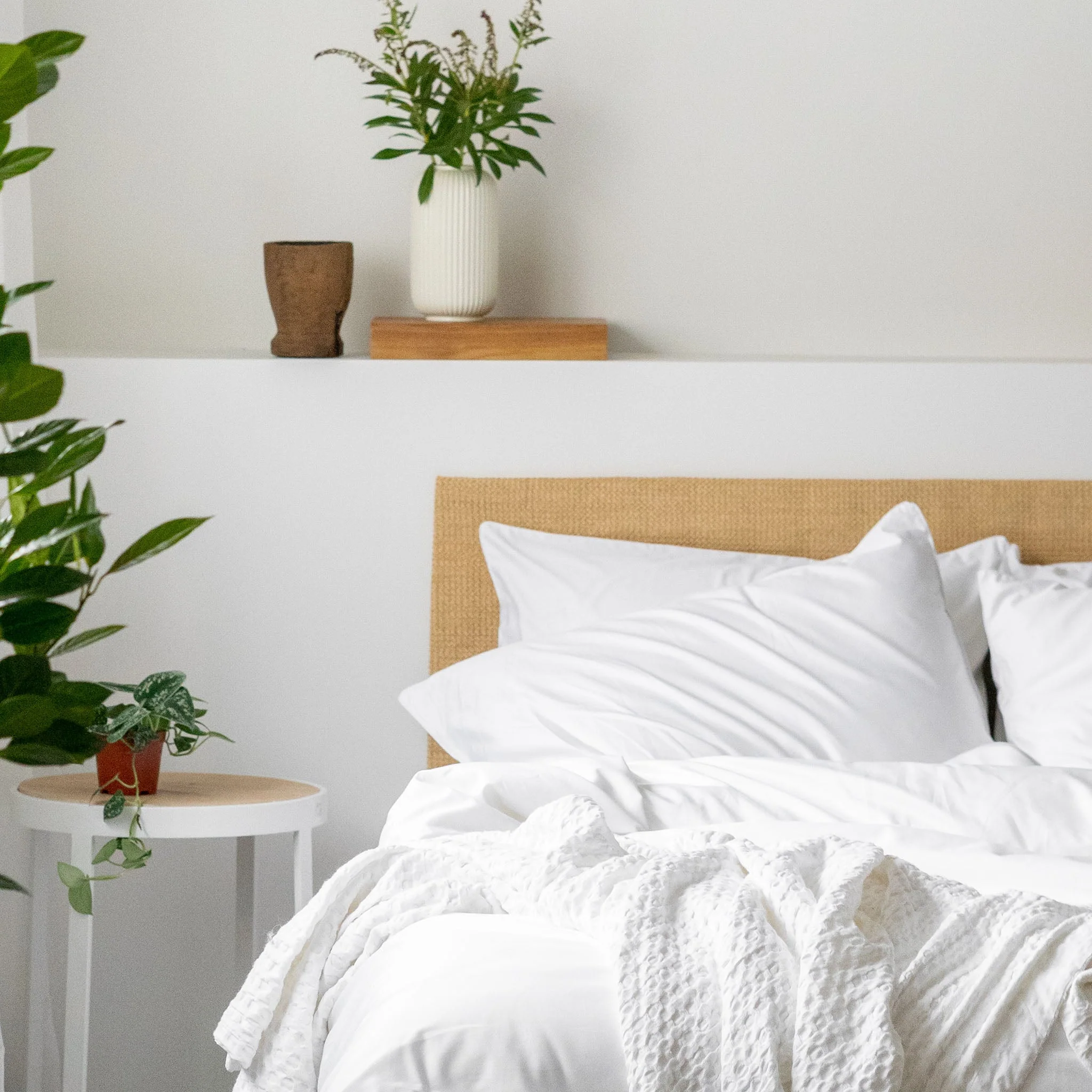 Cotton Fitted Sheet Set