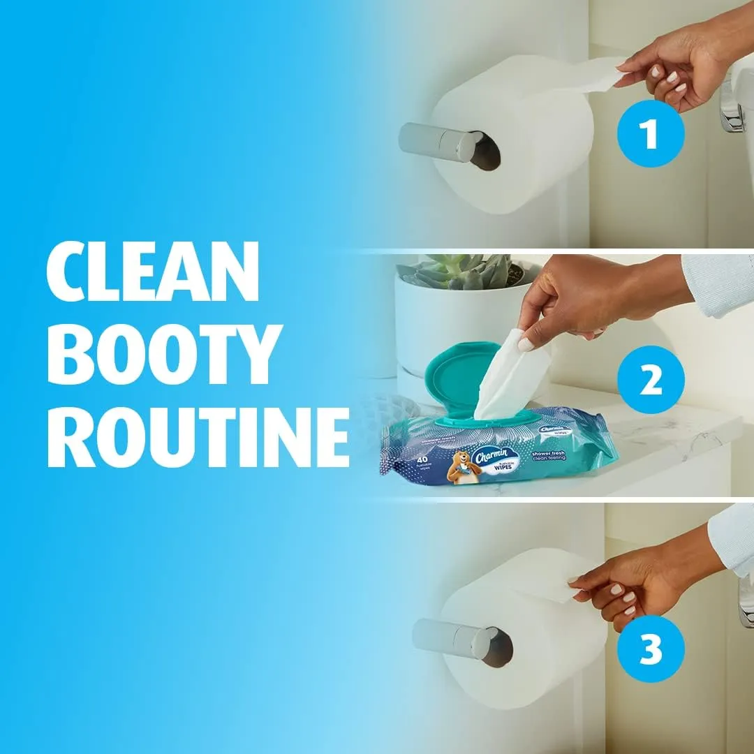 Charmin Flushable Wipes, 12 packs, 40 Flushable Wipes per Pack