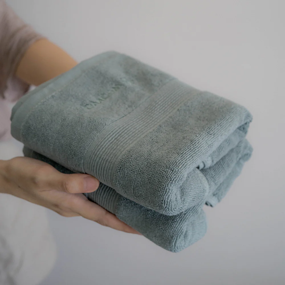 Silver Infused Hand Towel - Set of 2