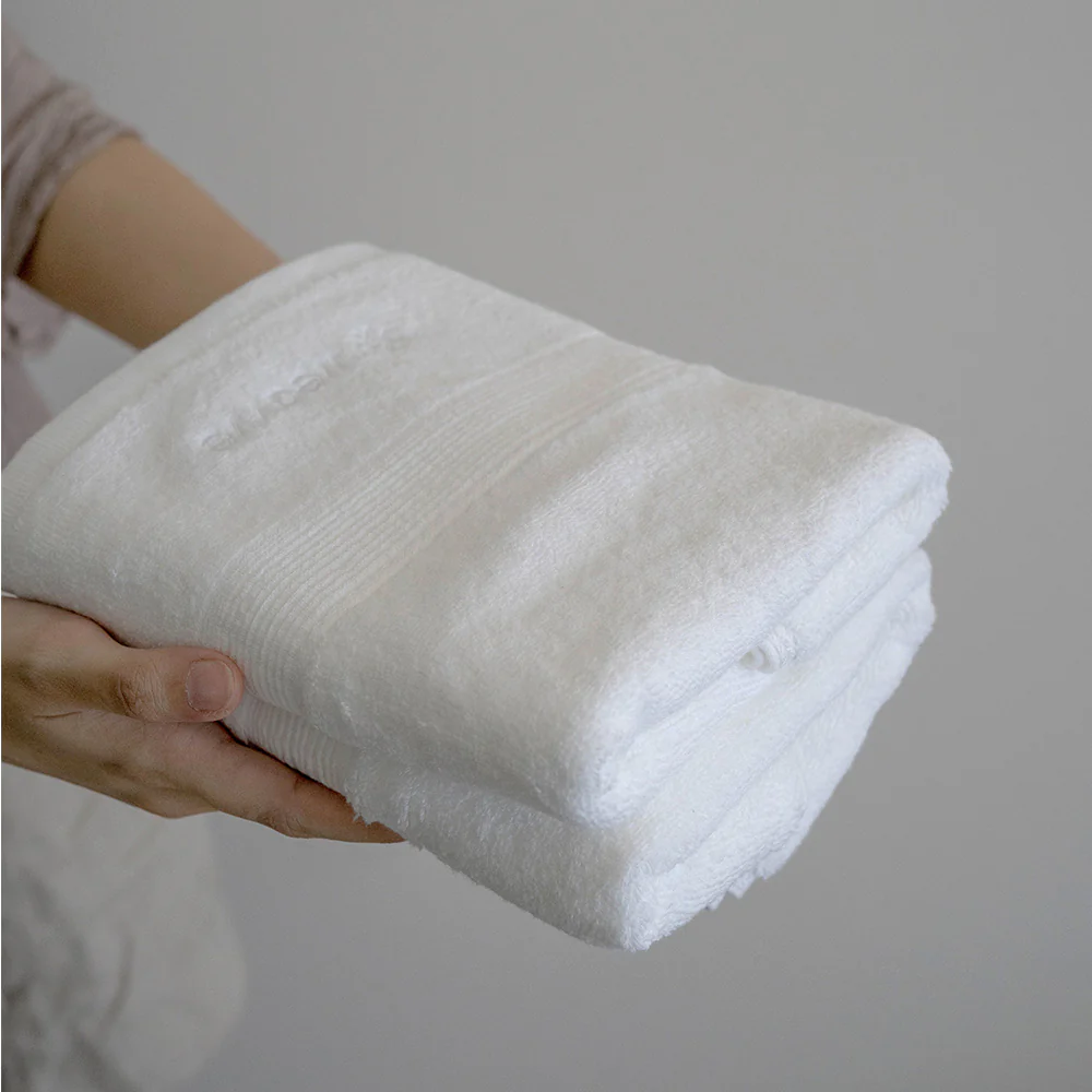 Silver Infused Hand Towel - Set of 2