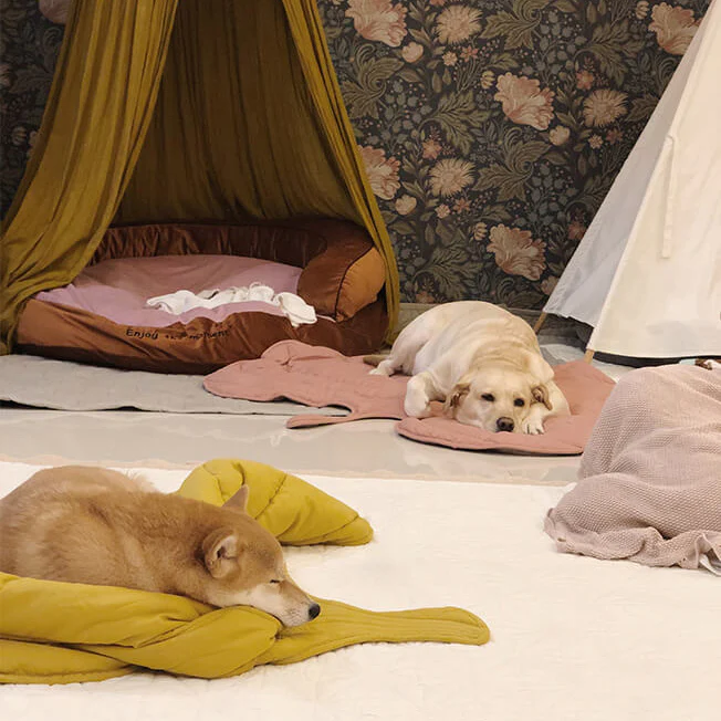 Sweet Dream Dog Sleeping Set
