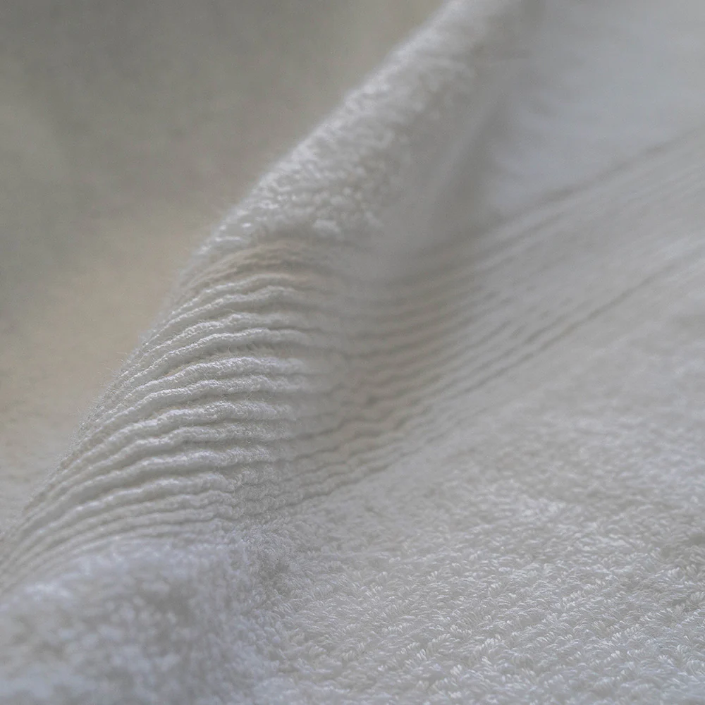 Silver Infused Hand Towel - Set of 2