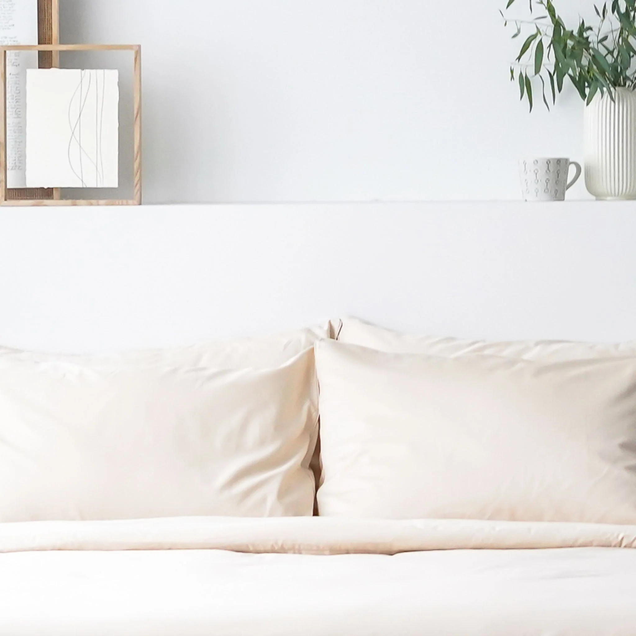 Cotton Fitted Sheet Set