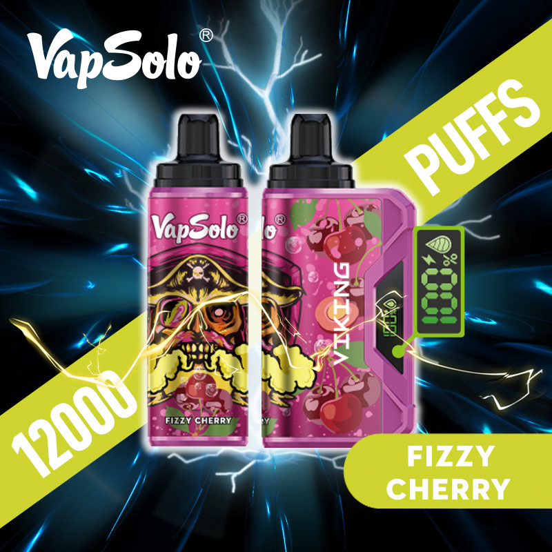 VAPSOLO Viking 12000puff 10PCS/BOX